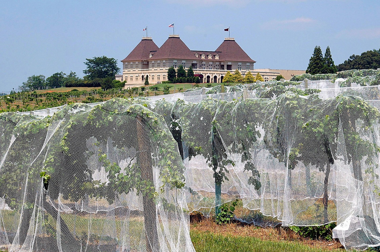 Le vignoble Louis M. Martini dans la vallée de Napa - Saint Helena | Secret World Trip Planner