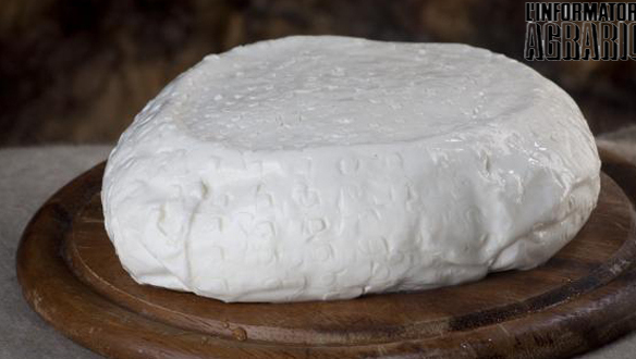 Fromage Squacquerone di Romagna DOP - Rimini | Secret World Trip Planner