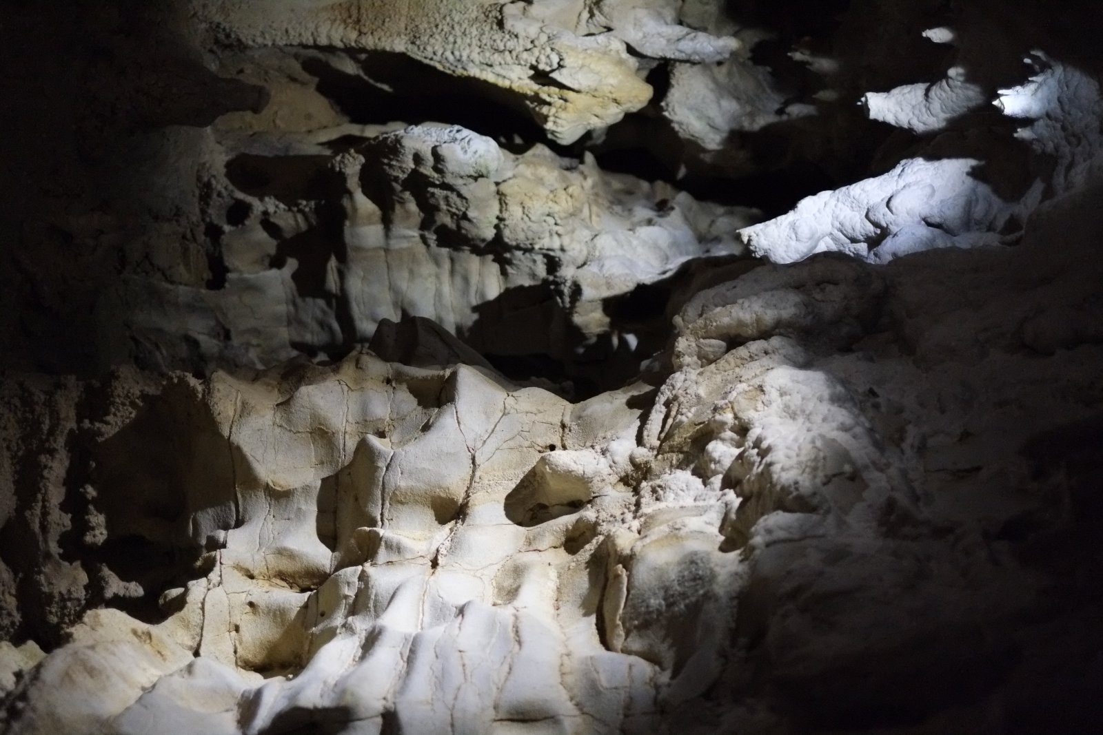 Les grottes de Waitomo, un ciel étoilé dans une grotte - Waitomo | Secret World Trip Planner