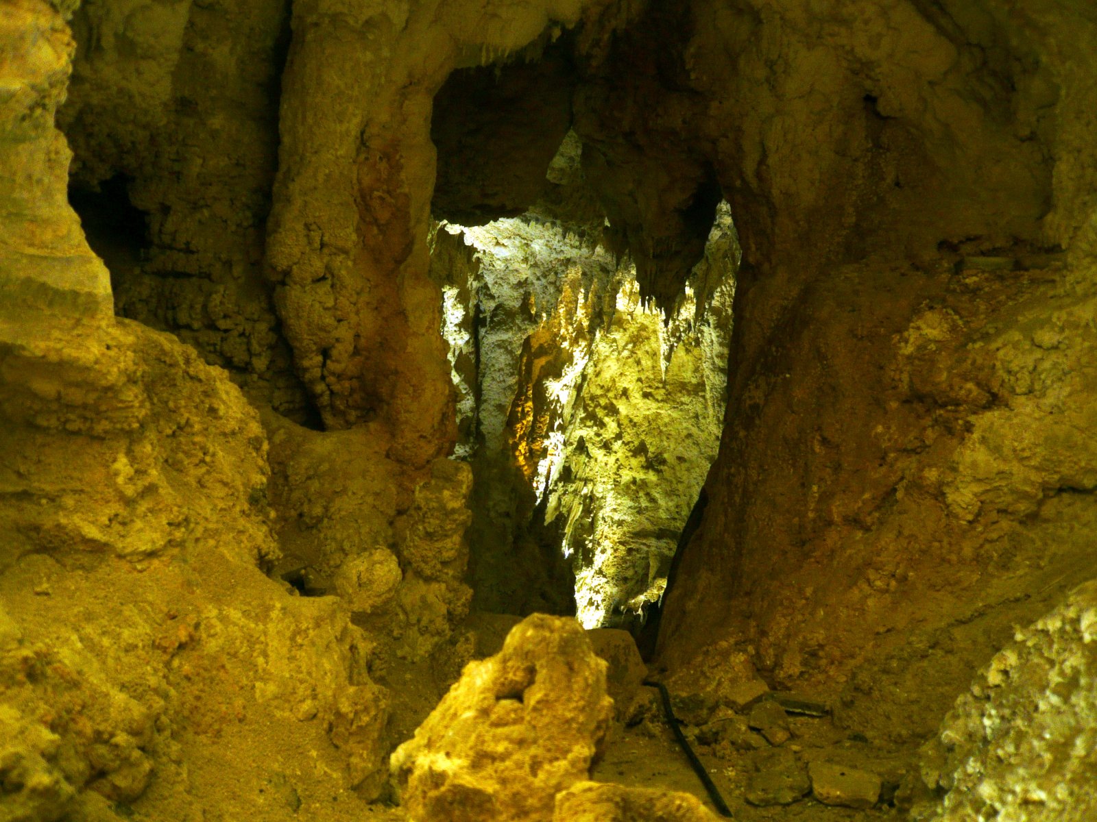 Les grottes de Waitomo, un ciel étoilé dans une grotte - Waitomo | Secret World Trip Planner