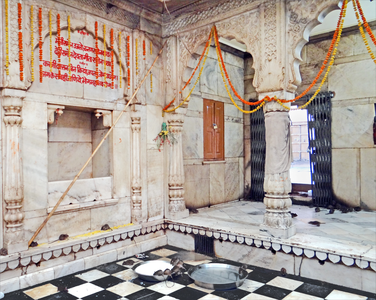 Le temple Karni Mata, un temple plein de souris - Deshnok | Secret World Trip Planner