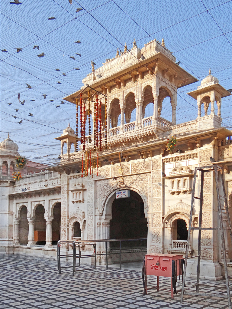 Le temple Karni Mata, un temple plein de souris - Deshnok | Secret World Trip Planner