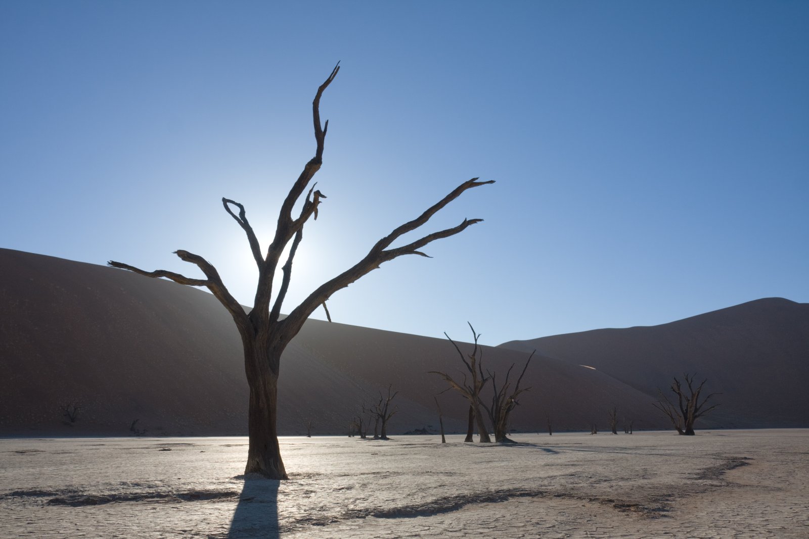 The Dead Vlei, A Frozen Forest In The Desert - Sossusvlei | Secret World Trip Planner