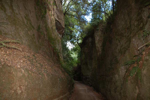 Nécropole étrusque de Sovana - Sovana | Secret World Trip Planner