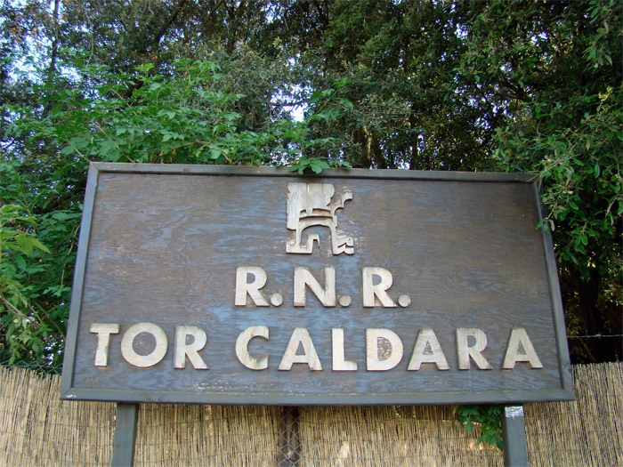 ປ່າສະຫງວນທໍາມະຊາດ Tor Caldara - Roma | Secret World Trip Planner