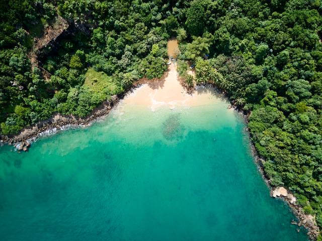 Jungle Beach — Jungle Beach