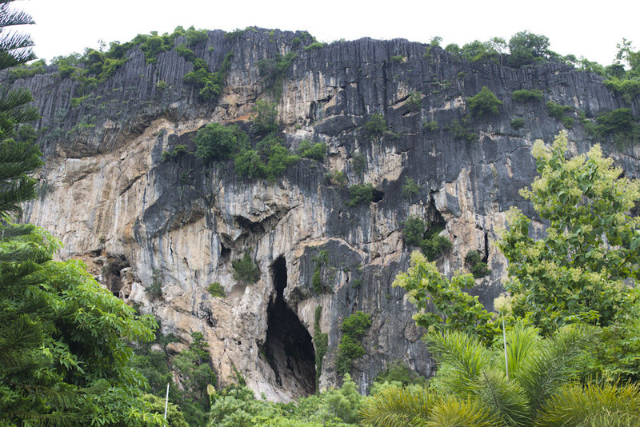 Grottes à chauves-souris du parc national de Khao Yai - Provincia di Nakhon Ratchasima | Secret World Trip Planner