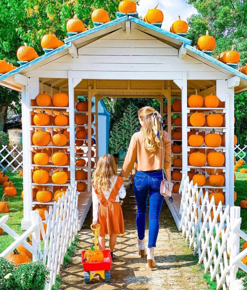 حديقة القرع - Pignataro Maggiore | Secret World Trip Planner