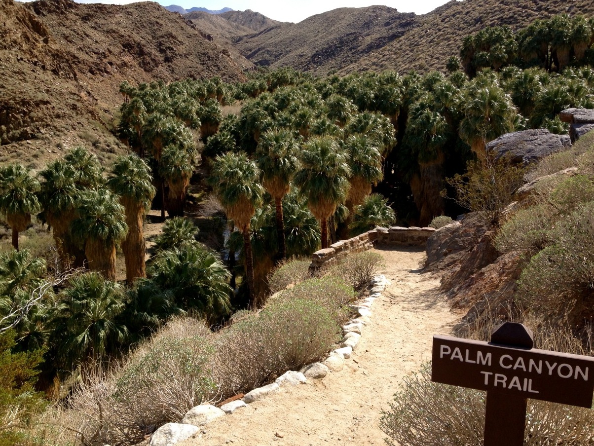 Canyons indiens - Palm Springs | Secret World Trip Planner