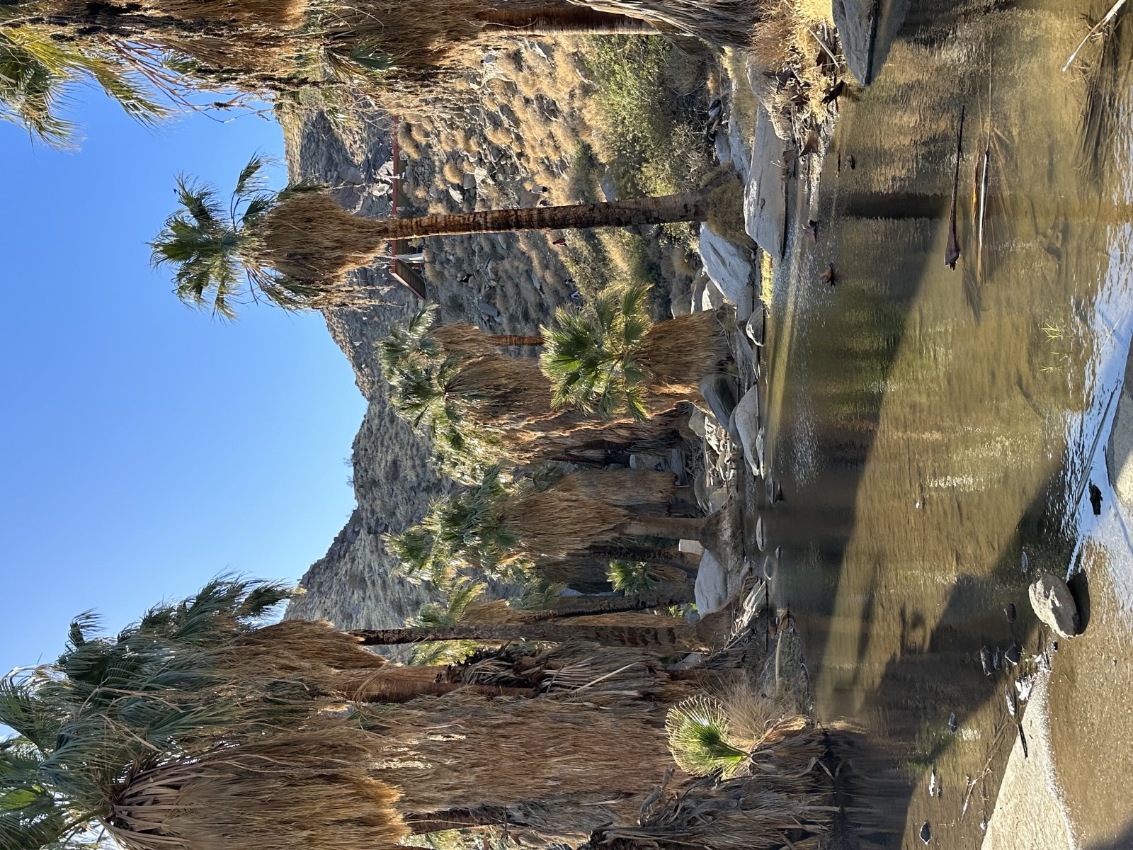Canyons indiens - Palm Springs | Secret World Trip Planner