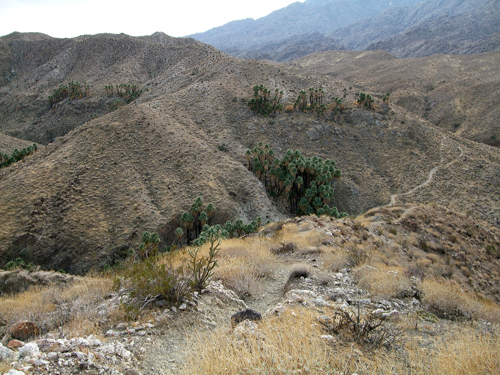 Canyons indiens - Palm Springs | Secret World Trip Planner
