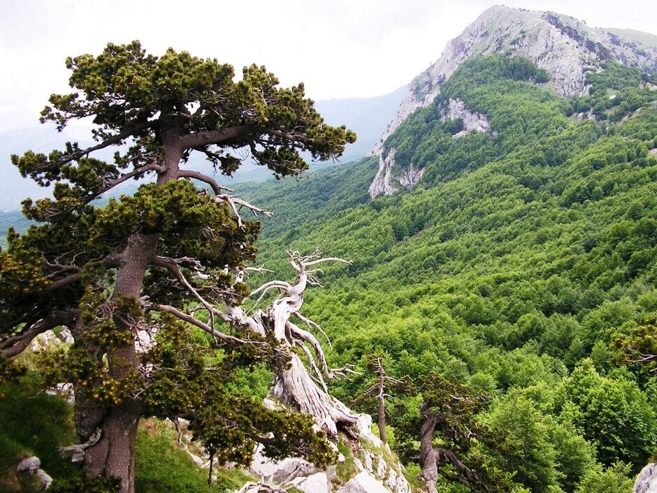 Теранова и впечатляващия Национален парк Полино - Terranova di Pollino | Secret World Trip Planner