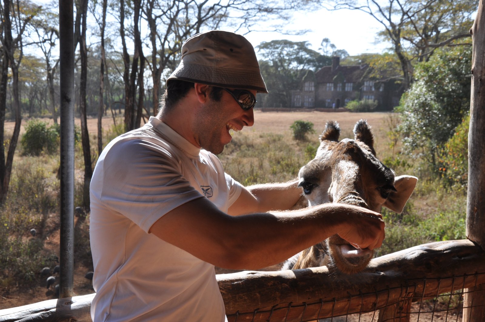 Giraffe Centre in Nairobi - Nairobi | Secret World Trip Planner