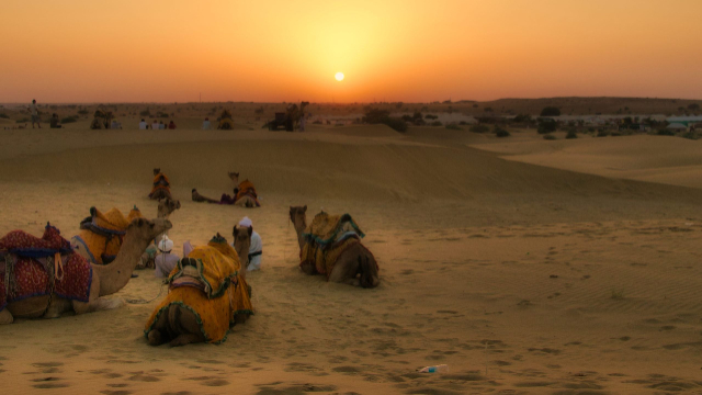 Le désert du Cholistan, - Cholistan Desert | Secret World Trip Planner