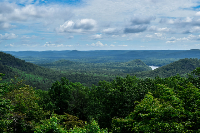 Foresta nazionale di Uwharrie — Troy