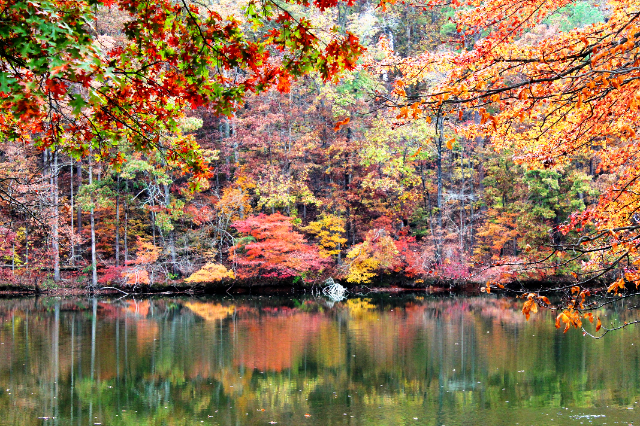 Foresta nazionale di Uwharrie - Troy | Secret World Trip Planner