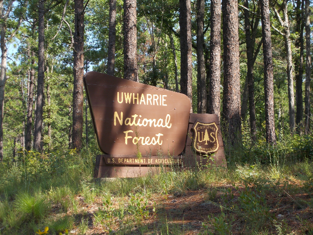 Foresta nazionale di Uwharrie - Troy | Secret World Trip Planner