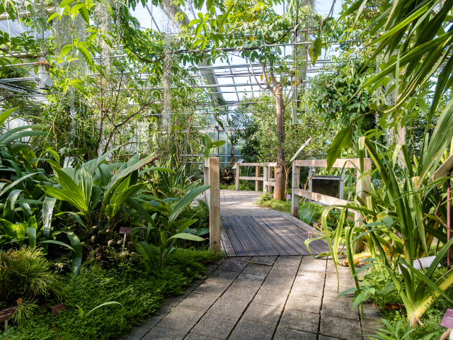 National Botanical Conservatory of Brest - Brest | Secret World Trip Planner