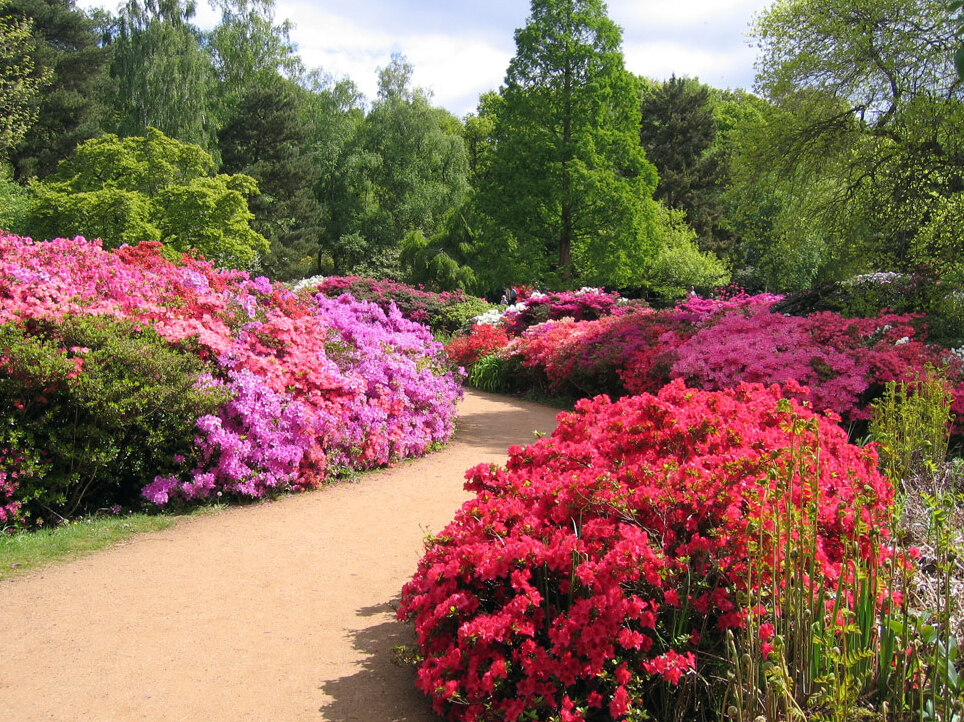 Richmond: Isabella Ladang - Richmond | Secret World Trip Planner