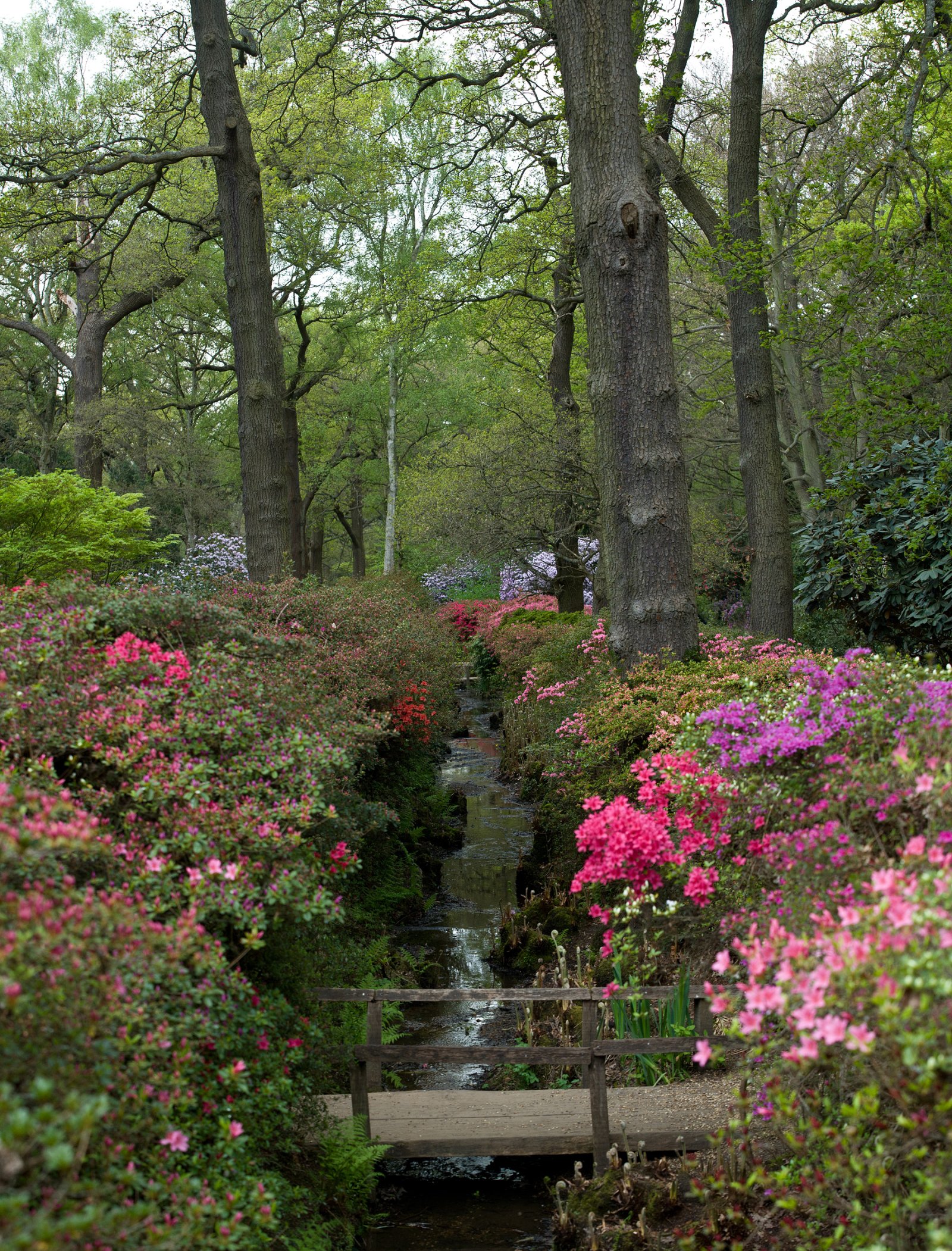 Richmond: Isabella Ladang - Richmond | Secret World Trip Planner