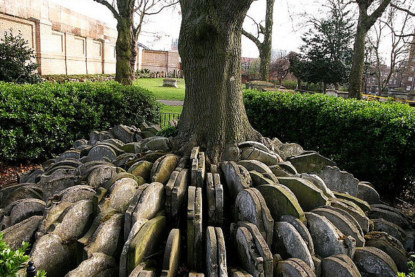 Hardy Tree Londonis - Londra | Secret World Trip Planner