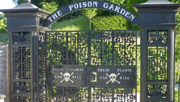 Alnwick Poison Gardens — Alnwick