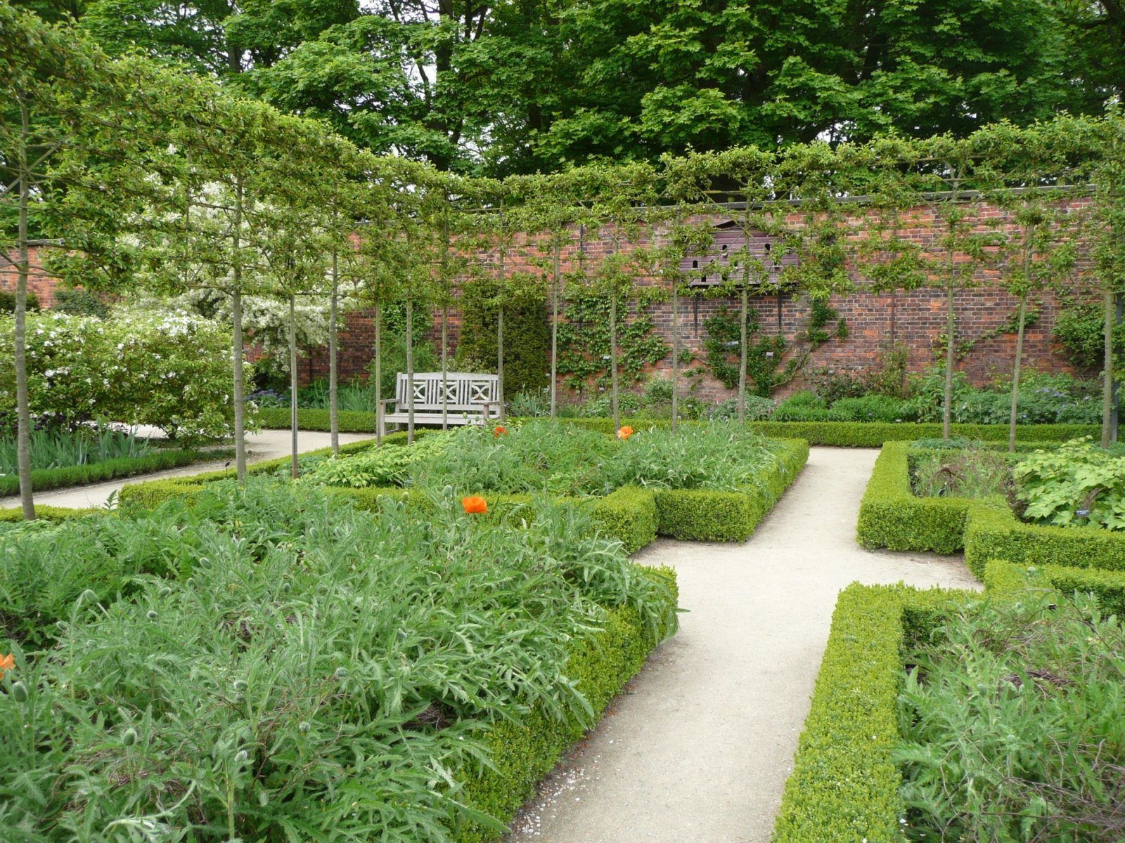 Alnwick Poison Gardens - Alnwick | Secret World Trip Planner