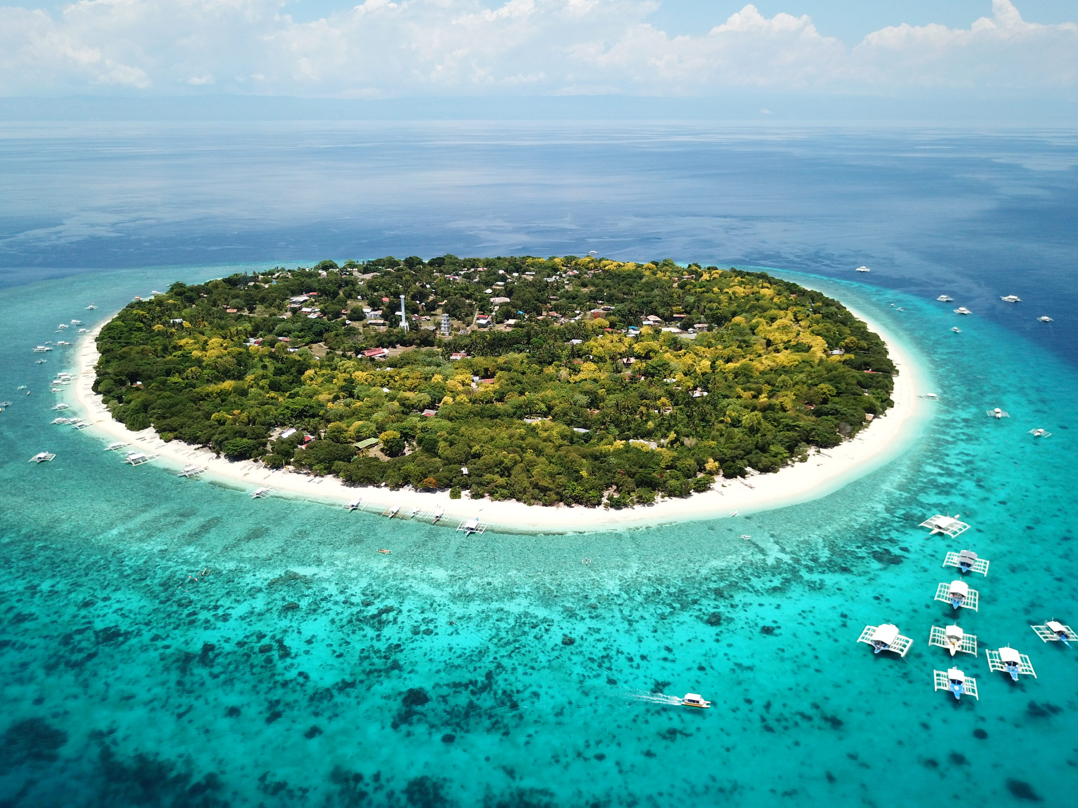 The marine conservation area on Pamilacan Island — Baclayon