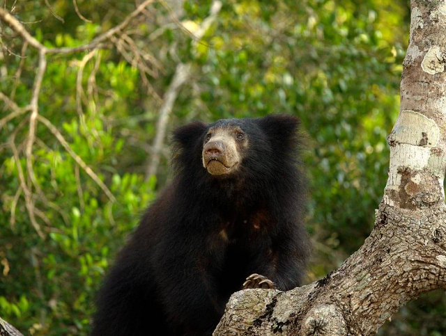 Parc national de Wilpattu | Secret World Trip Planner