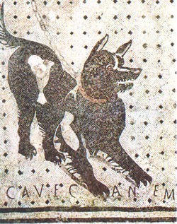 Casa del poeta tràgic - Vicolo Della Fullonica | Secret World Trip Planner