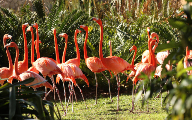 L'isola della giungla - Miami | Secret World Trip Planner