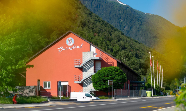 بیری لینڈ، سینٹ برنارڈ ڈاگ میوزیم - Martigny | Secret World Trip Planner