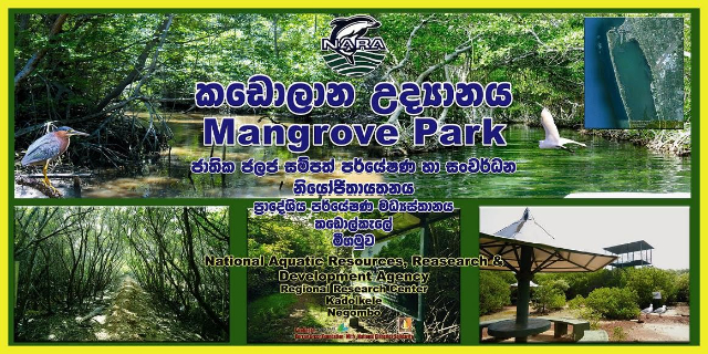 Jardin de mangroves de Nara - Negombo | Secret World Trip Planner