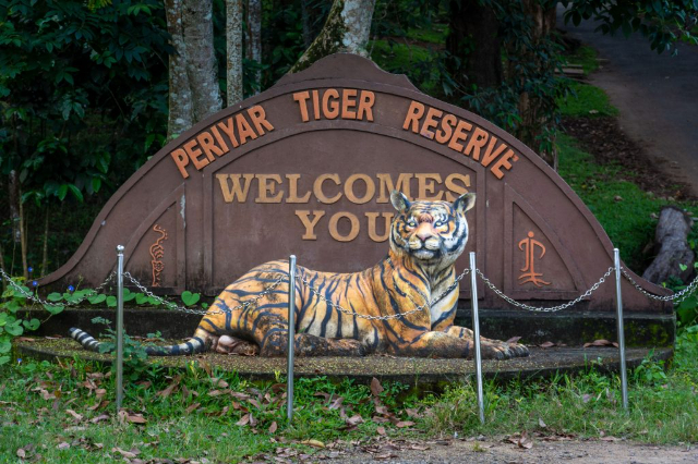 Réserve de tigres de Periyar — Kerala