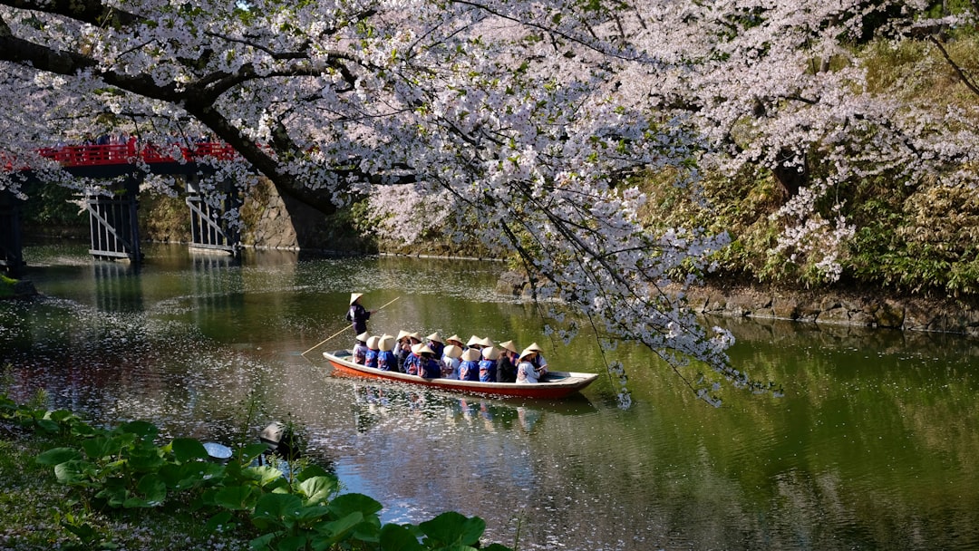 Hirosaki Park is one of Japan's best cherry blossom spots - ??? | Secret World Trip Planner