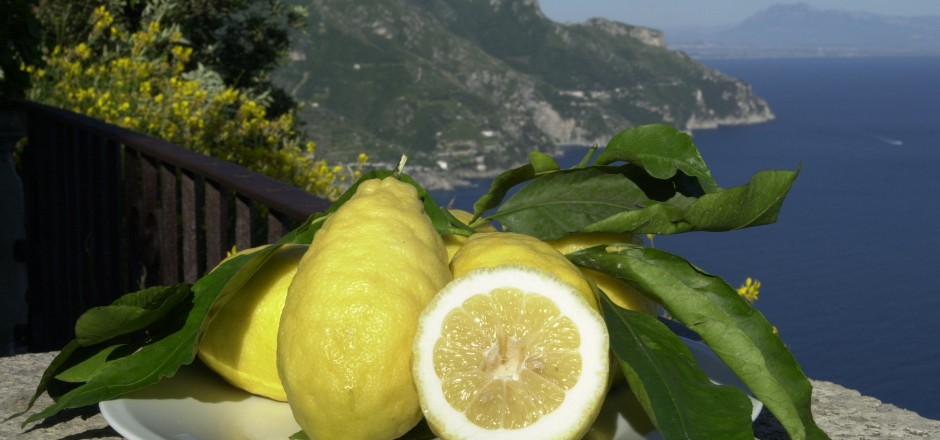 Citron d'Amalfi - Amalfi | Secret World Trip Planner