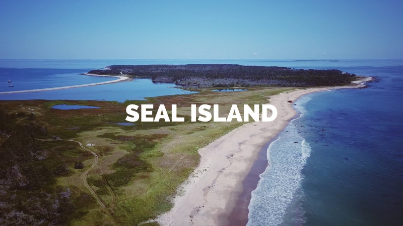 Seehundinsel - Seal Island | Secret World Trip Planner