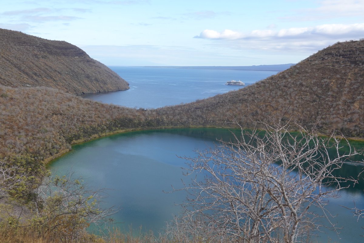 Discovering the Galápagos Islands: A Paradise of Biodiversity - Galápagos | Secret World Trip Planner