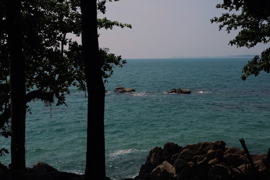 Découvrez les îles de Phuket : Nature et Vie Nocturne - Distretto di Mueang Phuket | Secret World Trip Planner