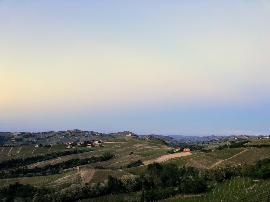 探索朗格：巴罗洛与巴巴雷斯科之旅 - Langhe | Secret World Trip Planner