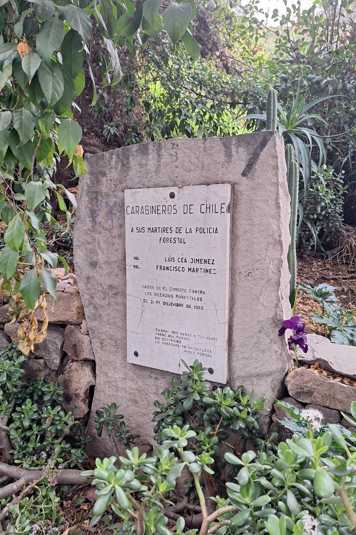 Cerro Blanco: Die verborgenen Pfade Chiles - Recoleta | Secret World Trip Planner