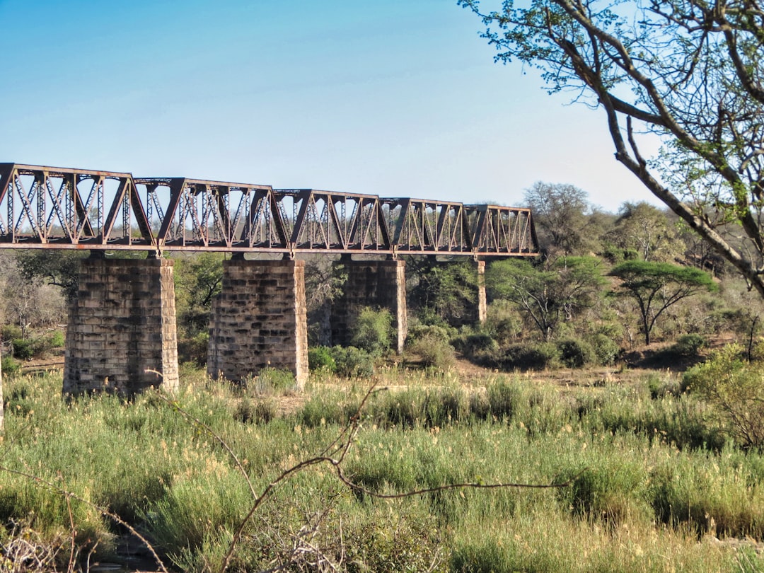 Skukuza: A Biodiversity Paradise in South Africa - Skukuza | Secret World Trip Planner