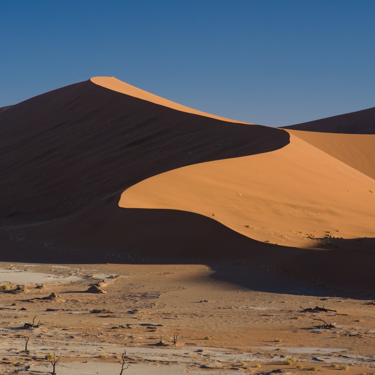 Scoprire il Deserto del Namib: Dune e Silenzio | Secret World Trip Planner