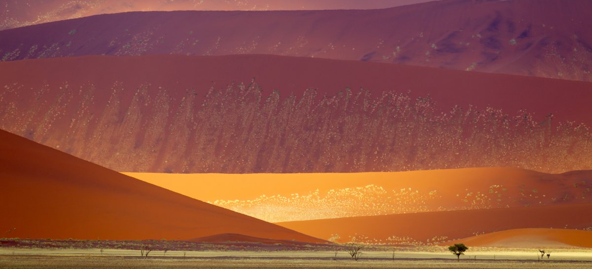 Entdecke die Namib-Wüste: Dünen und Stille | Secret World Trip Planner