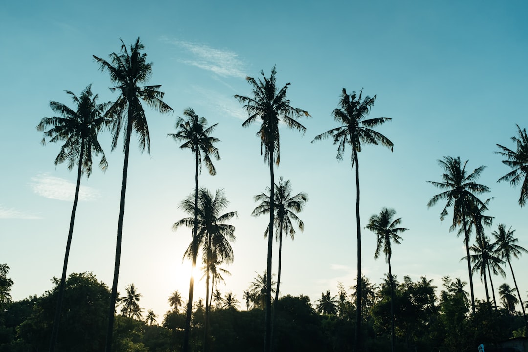 Comment Planifier un Voyage AI à Bali en 2026 - Bali | Secret World Trip Planner