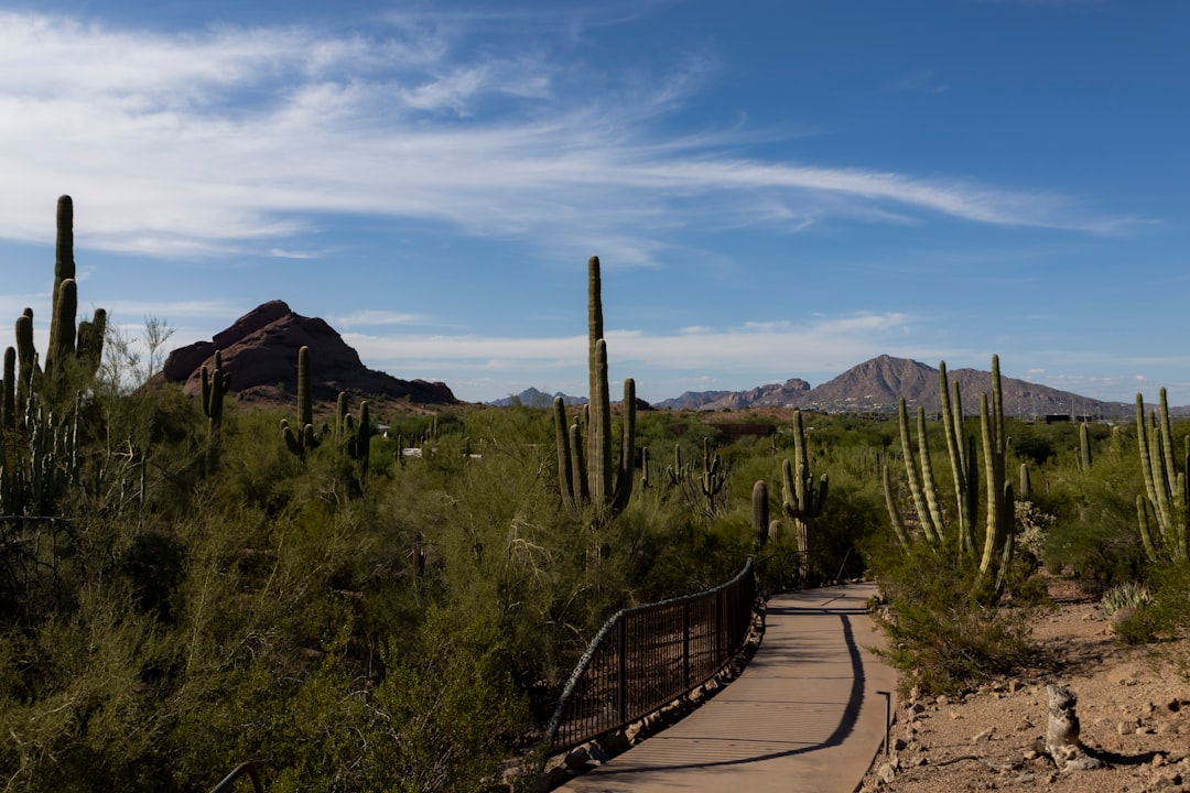 Top AI Travel Apps Phoenix 2026: Confronto e Scelta Migliore - Phoenix | Secret World Trip Planner