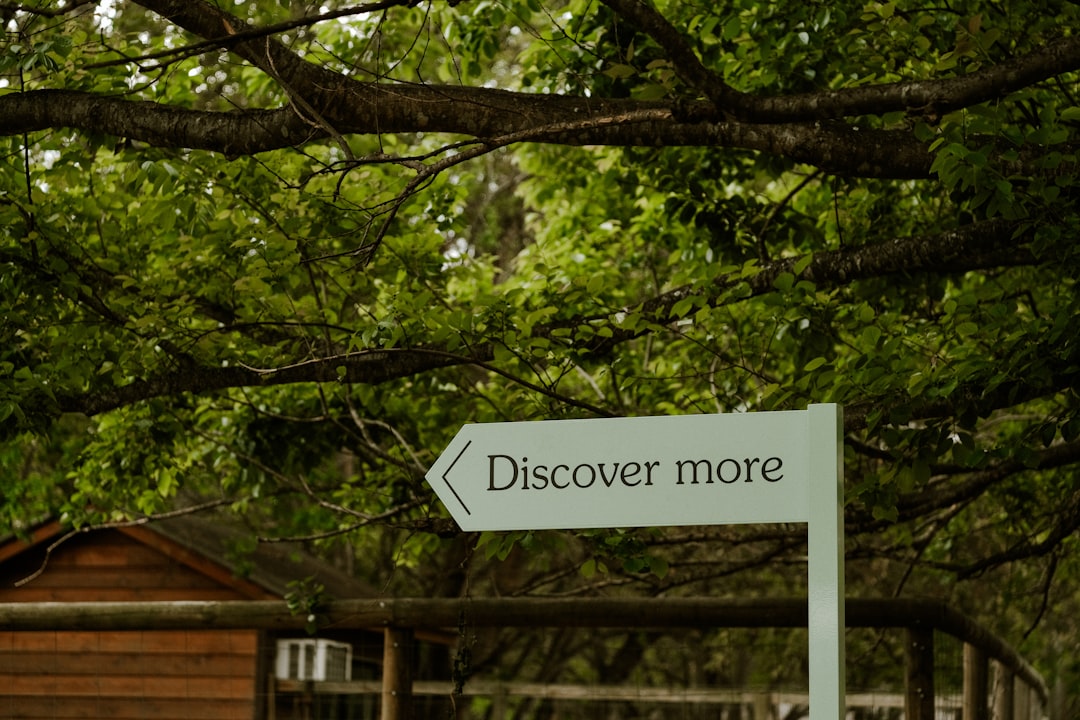 Best AI Trip Planner Nottingham 2026: Scopri Secret World - Nottingham | Secret World Trip Planner