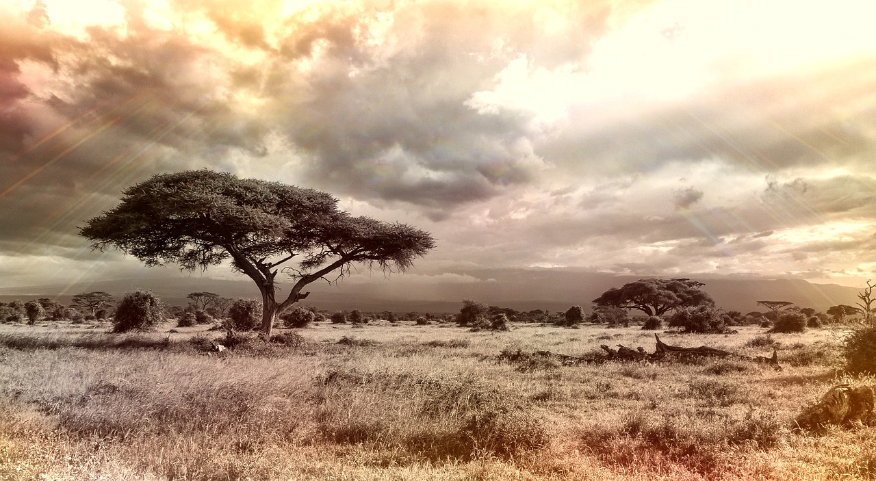 Itinerario Savannah 2026 con AI: La Guida Perfetta - Savannah | Secret World Trip Planner