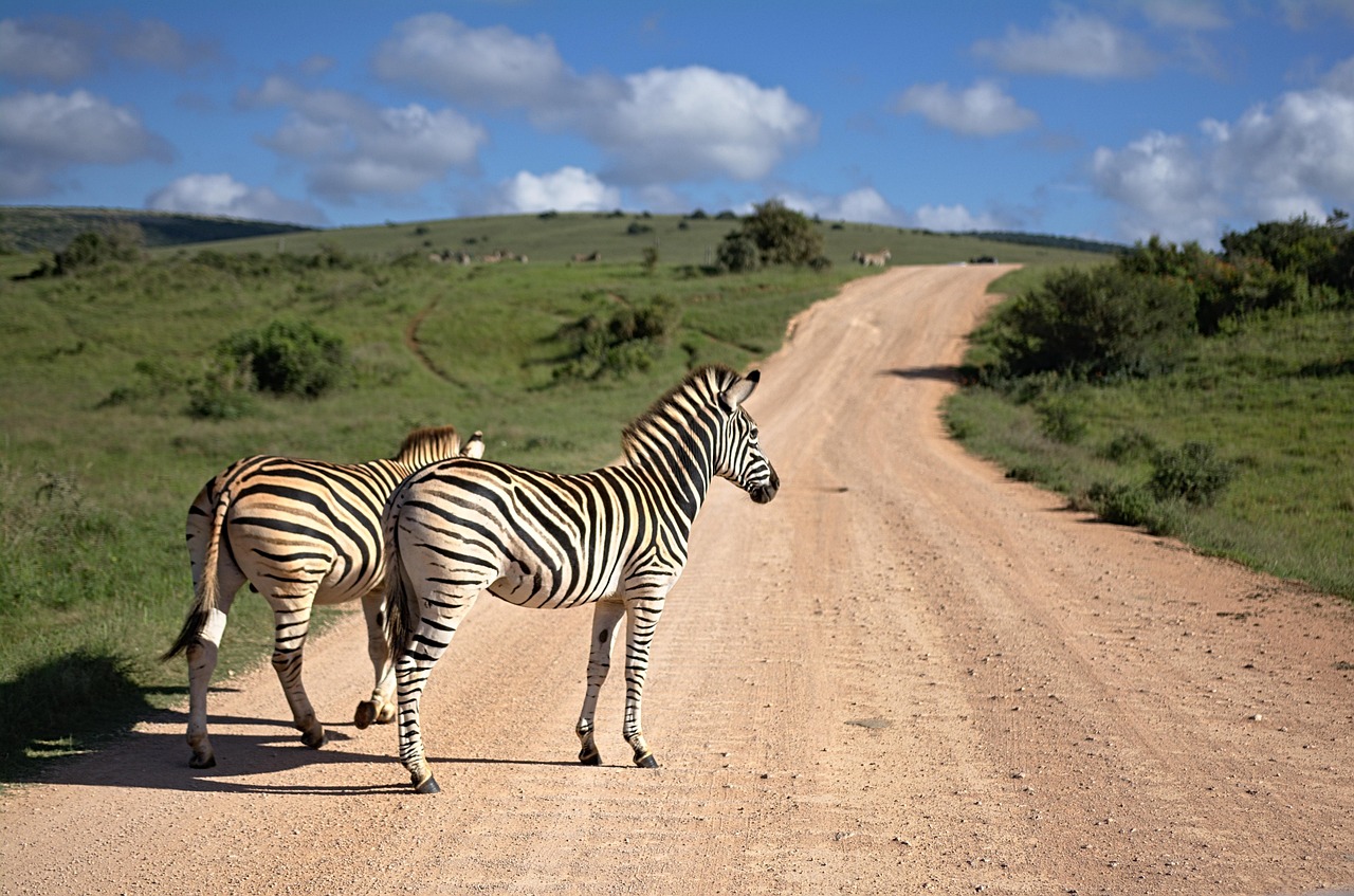 Itinerario Savannah 2026 con AI: La Guida Perfetta - Savannah | Secret World Trip Planner