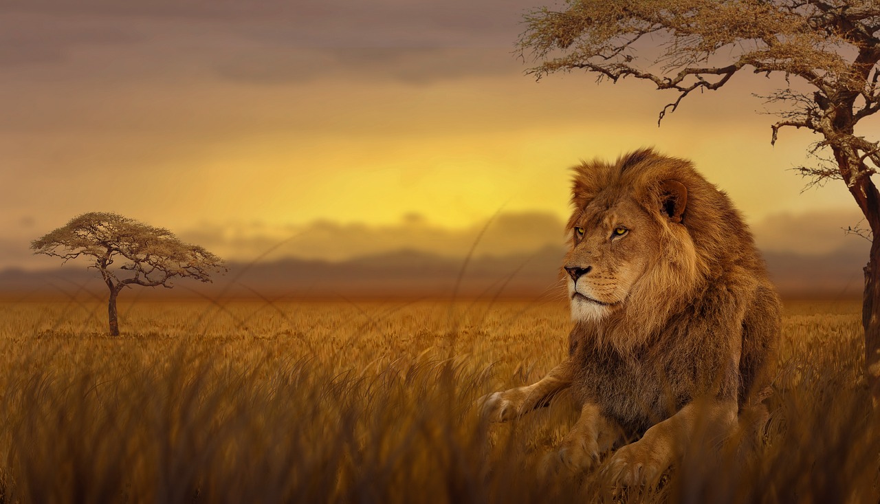 Itinerario Savannah 2026 con AI: La Guida Perfetta - Savannah | Secret World Trip Planner